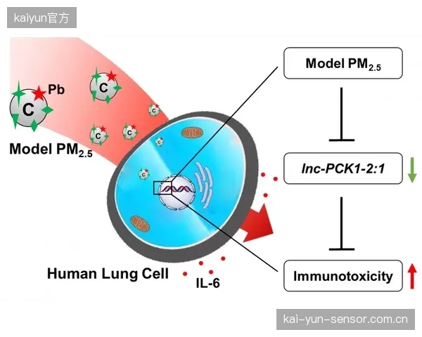 以中超为例，一个赛季的4KPGM信号云端存储量，已经超过了2.5PB